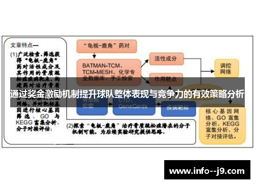 通过奖金激励机制提升球队整体表现与竞争力的有效策略分析