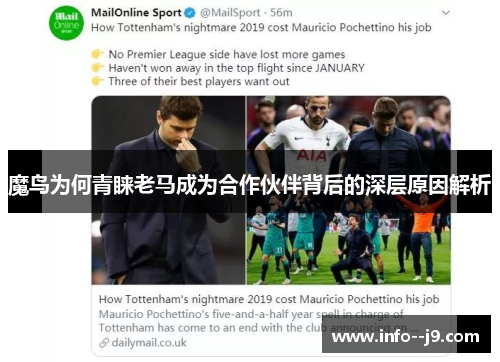 魔鸟为何青睐老马成为合作伙伴背后的深层原因解析